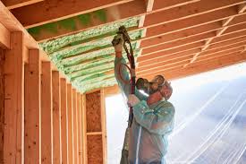 Best Spray Foam Insulation  in Leupp, AZ