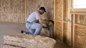 Best Attic Insulation Installation  in Leupp, AZ