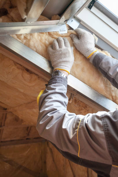 Best Attic Insulation Installation  in Leupp, AZ