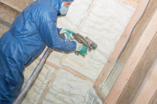 Best Wall Insulation Installation  in Leupp, AZ